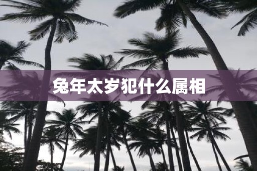蛇年太岁犯什么属相