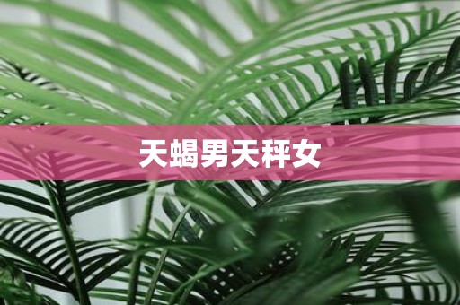 天蝎男天秤女