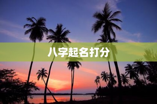 八字起名打分