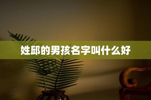 姓邱的男孩名字叫什么好