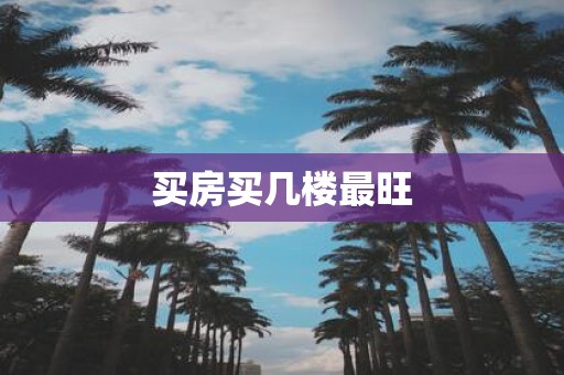 买房买几楼最旺