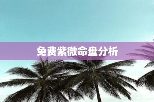 免费紫微命盘分析