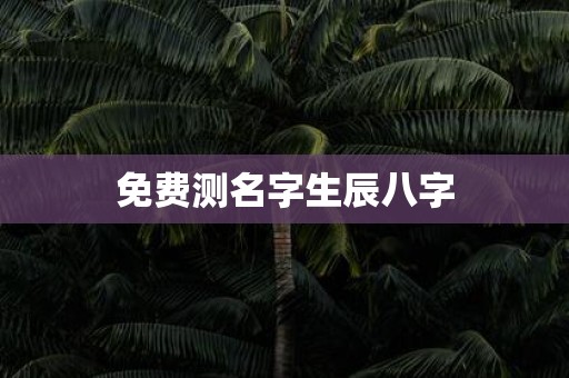 免费测名字生辰八字