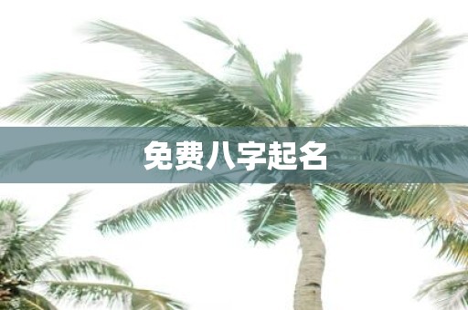 免费八字起名