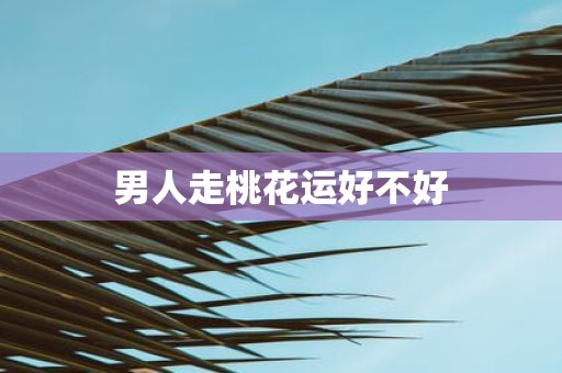 男人走桃花运好不好