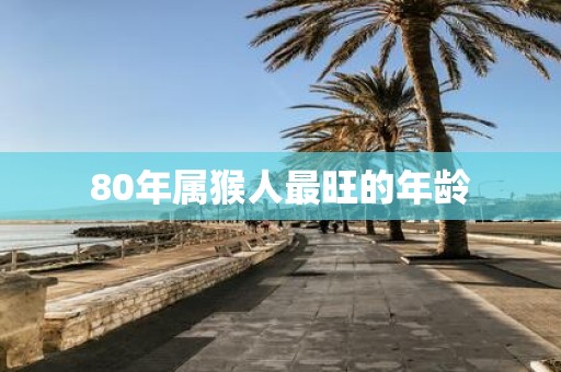80年属猴人最旺的年龄
