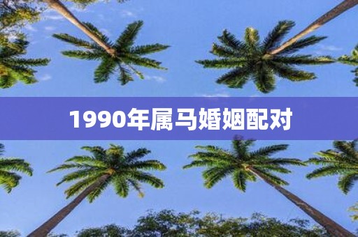 1990年属马婚姻配对