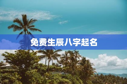 免费生辰八字起名