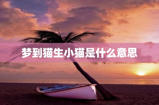 梦到猫生小猫是什么意思