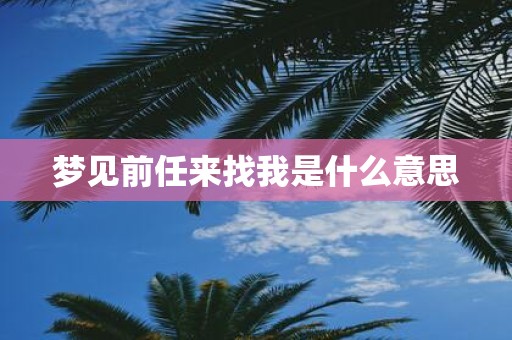 梦见前任来找我是什么意思