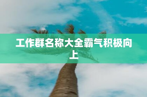 工作群名称大全霸气积极向上