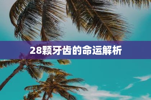 28颗牙齿的命运解析