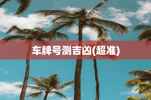 车牌号测吉凶(超准)