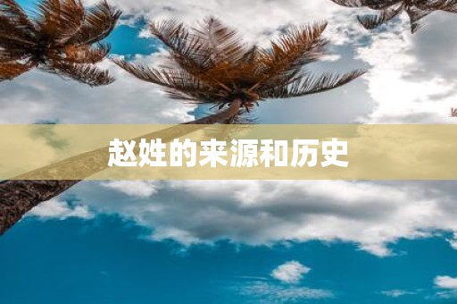 赵姓的来源和历史