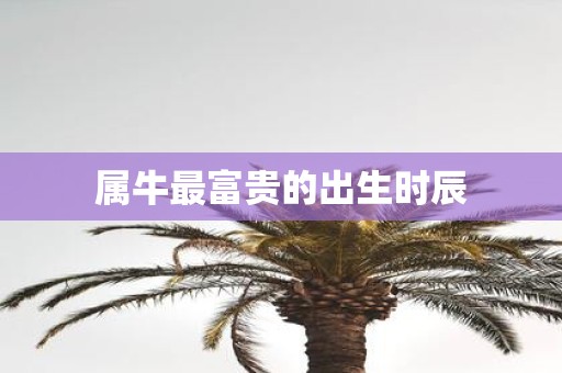 属牛最富贵的出生时辰