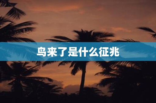 鸟来了是什么征兆