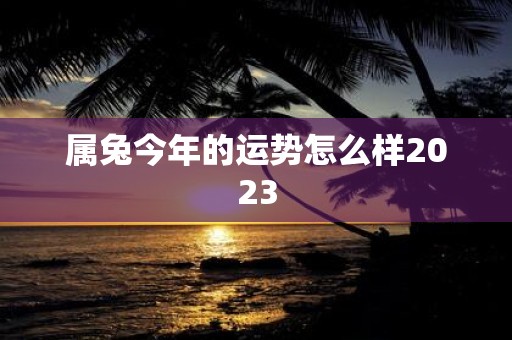 属兔今年的运势怎么样2025