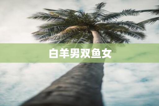 白羊男双鱼女