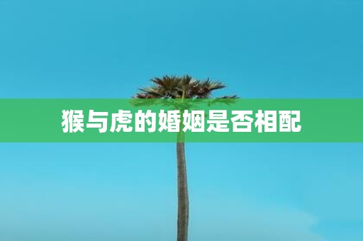 猴与虎的婚姻是否相配