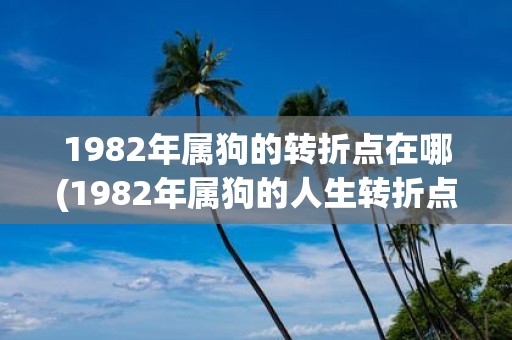 1982年属狗的转折点在哪(1982年属狗的人生转折点在哪？)