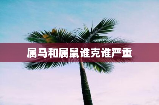属马和属鼠谁克谁严重