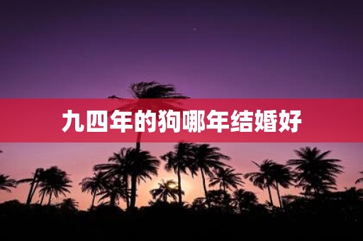 九四年的狗哪年结婚好