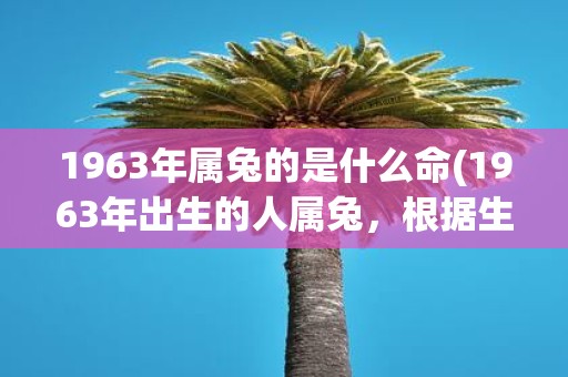 1963年属兔的是什么命(1963年出生的人属兔，根据生肖命理学命运如何？)