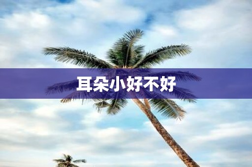 耳朵小好不好