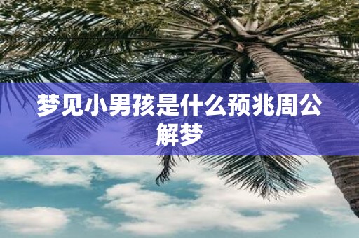 梦见小男孩是什么预兆周公解梦