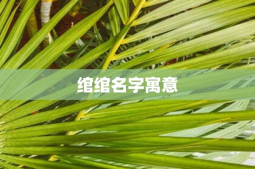 绾绾名字寓意