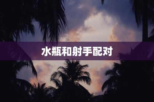 水瓶和射手配对