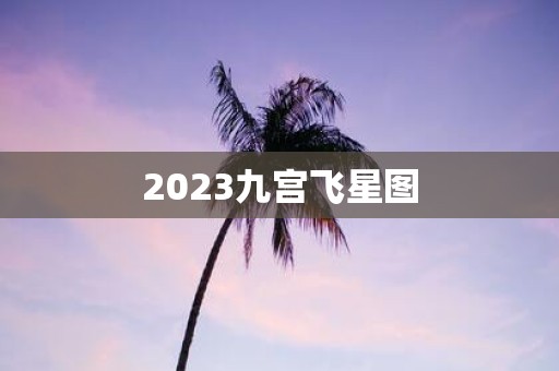 2025九宫飞星图