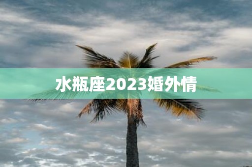 水瓶座2025婚外情