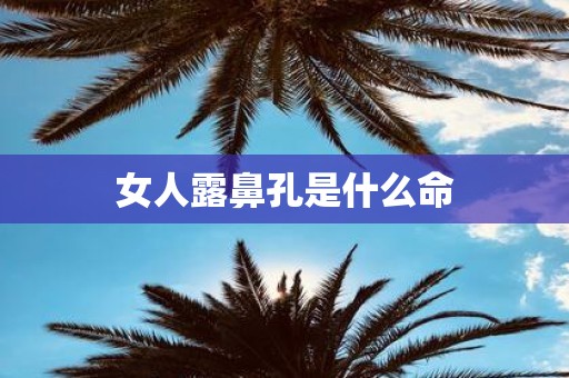 女人露鼻孔是什么命