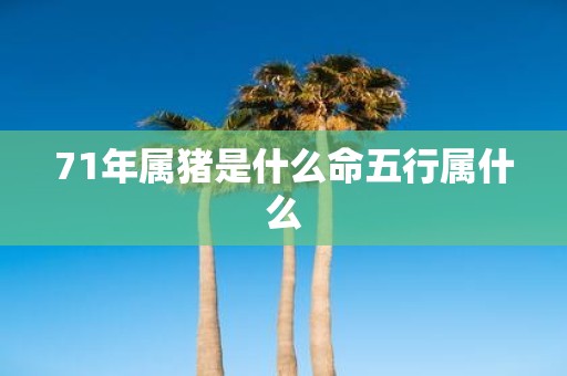 71年属猪是什么命五行属什么