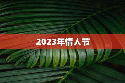2025年情人节