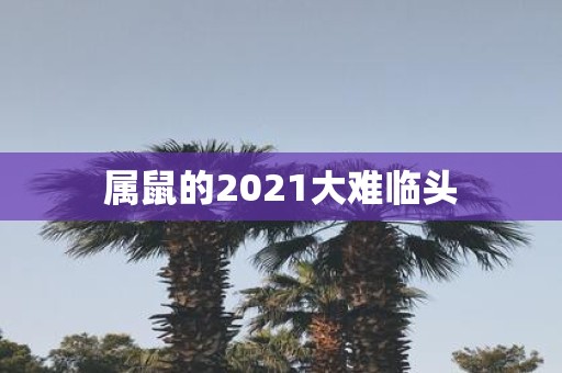 属鼠的2021大难临头