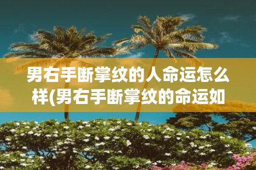 男右手断掌纹的人命运怎么样(男右手断掌纹的命运如何？)
