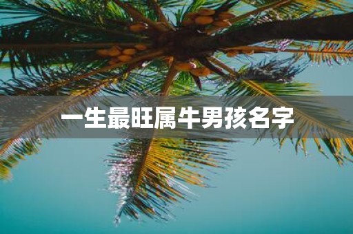 一生最旺属牛男孩名字