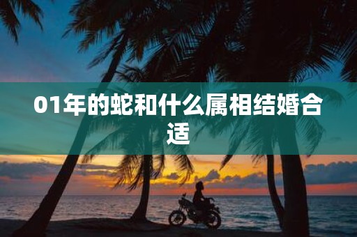 01年的蛇和什么属相结婚合适