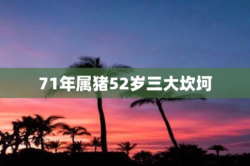 71年属猪52岁三大坎坷