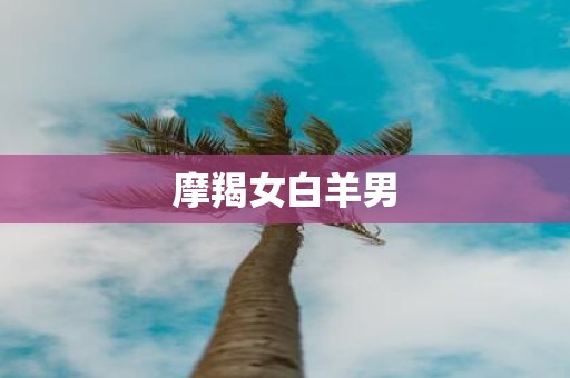 摩羯女白羊男