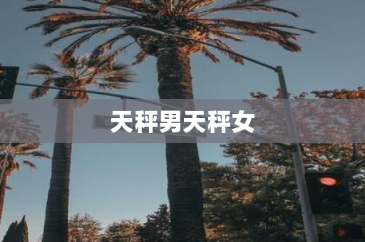 天秤男天秤女