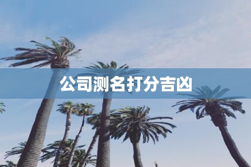 公司测名打分吉凶