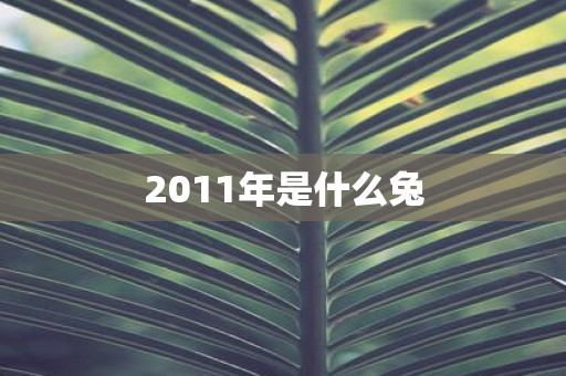2011年是什么兔