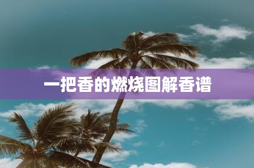 一把香的燃烧图解香谱