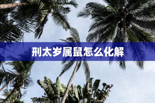 刑太岁属鼠怎么化解
