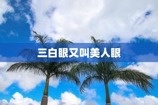 三白眼又叫美人眼