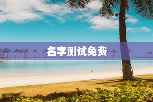 名字测试免费