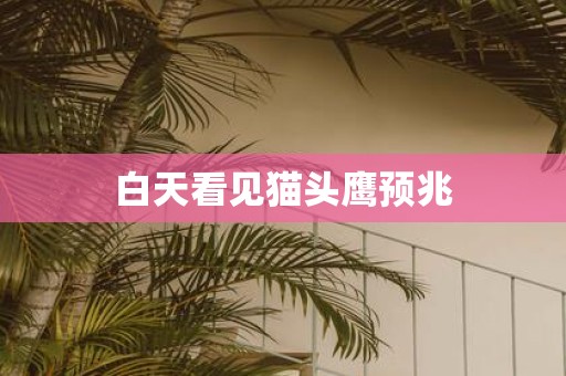 白天看见猫头鹰预兆
